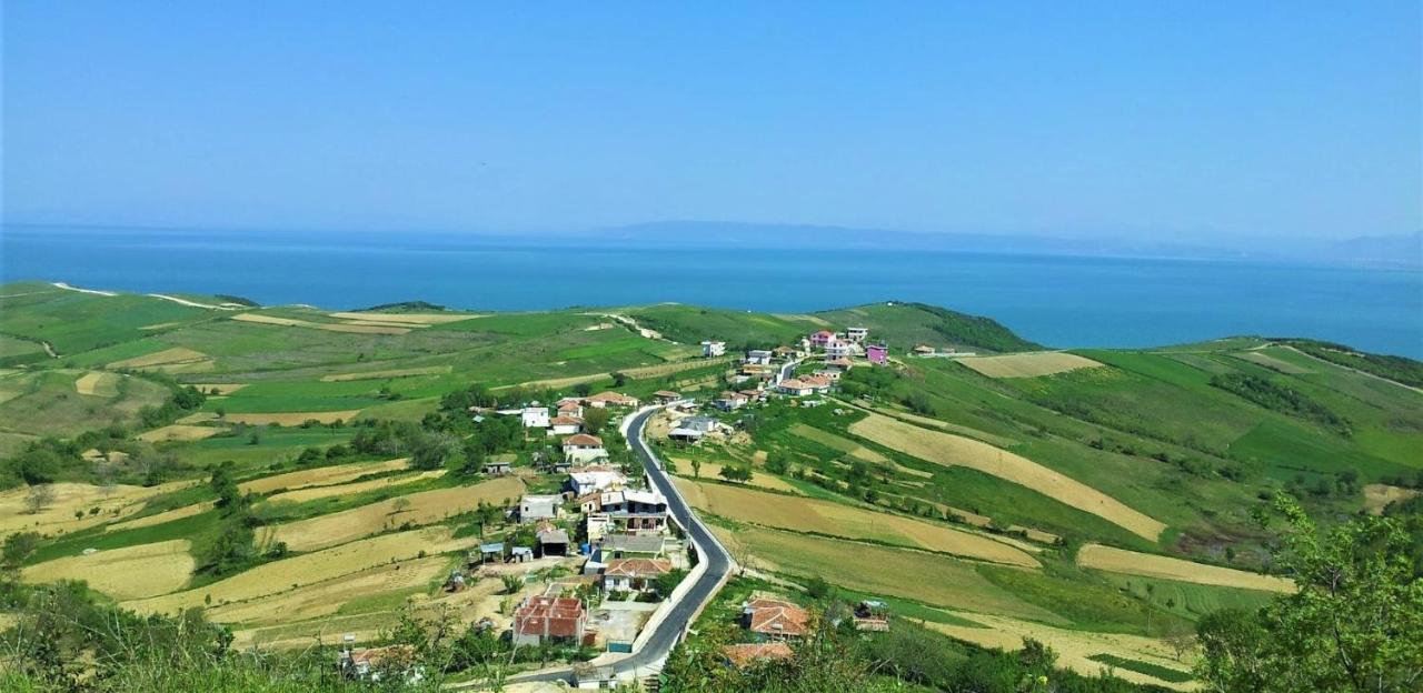 Duplex Seaview * Durrës